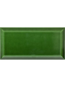 VICTORIAN GREEN BX 10x20 1.k